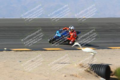 media/Jan-14-2024-SoCal Trackdays (Sun) [[2e55ec21a6]]/Bowl (11am)/